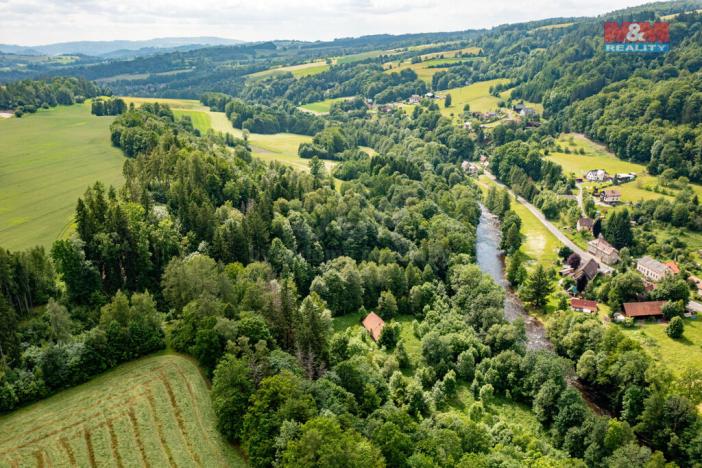 Prodej lesa, Peřimov, 36610 m2