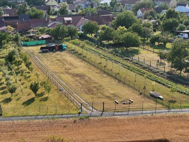 Prodej pozemku pro bydlení, Dolní Dunajovice, 2041 m2