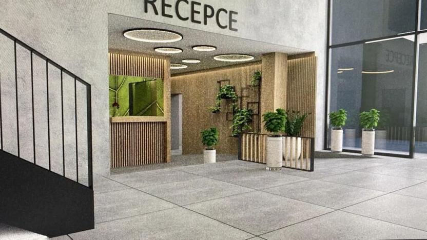 Pronájem obchodního prostoru, Nový Jičín, Dvořákova, 263 m2