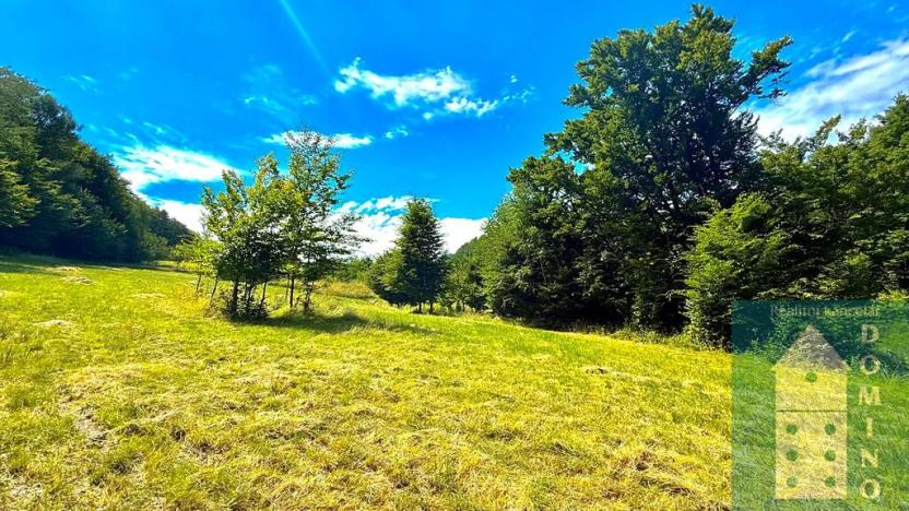 Prodej chaty, Držková, 54 m2