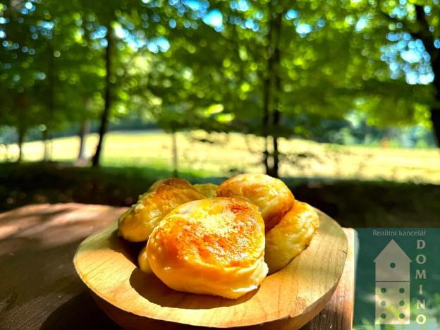 Prodej chaty, Držková, 54 m2