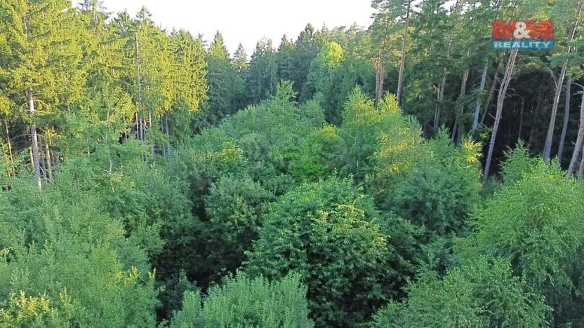 Prodej lesa, Tábor - Horky, 5139 m2