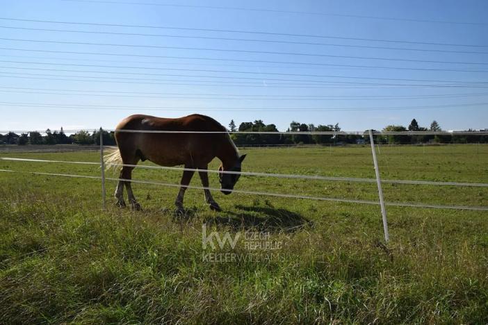 Prodej rodinného domu, Praha - Suchdol, Bažantní, 161 m2