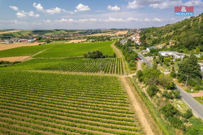 Prodej pozemku pro bydlení, Viničné Šumice, 3276 m2