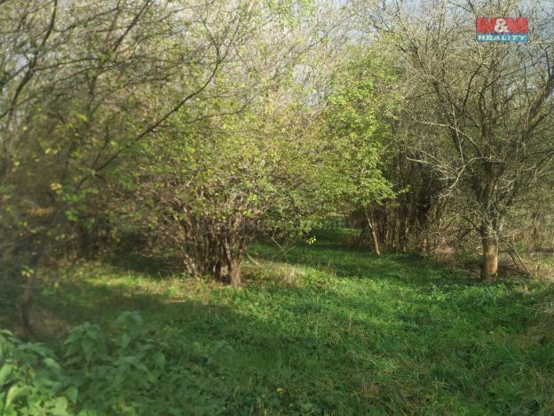 Prodej zahrady, Olomouc - Řepčín, 2804 m2