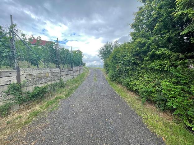 Prodej zahrady, Malé Žernoseky, 1291 m2