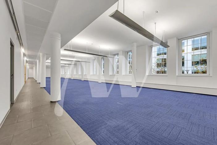 Pronájem kanceláře, Praha - Karlín, Křižíkova, 388 m2