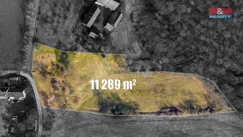 Prodej louky, Dubá - Heřmánky, 11289 m2