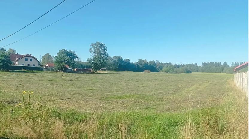 Prodej pozemku pro bydlení, Čížkov, 1000 m2