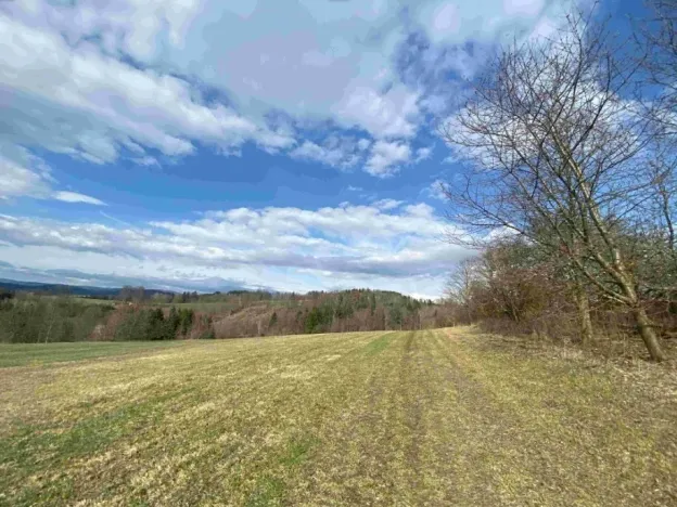 Dražba louky, Příkrý, 8128 m2