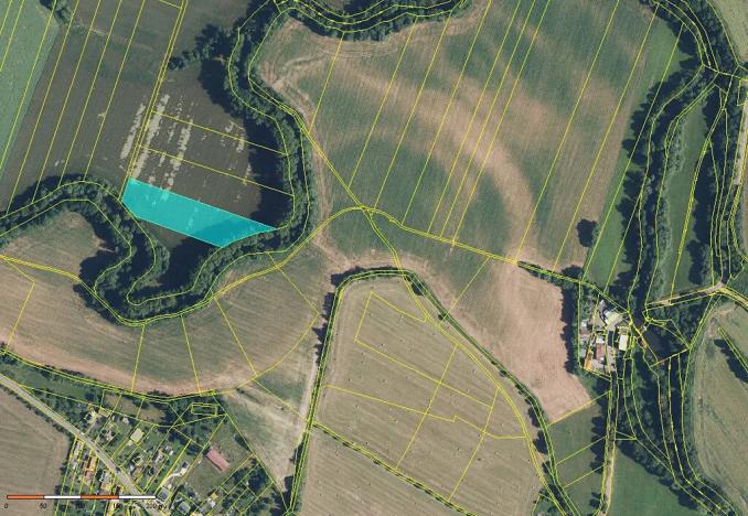 Prodej louky, Dvůr Králové nad Labem, 136924 m2