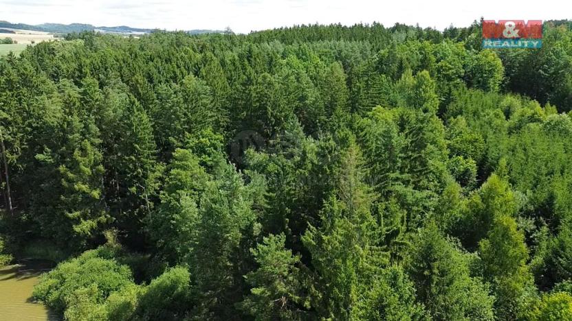 Prodej lesa, Opařany - Olší, 5323 m2