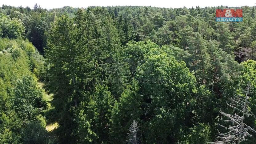 Prodej lesa, Opařany - Olší, 5323 m2