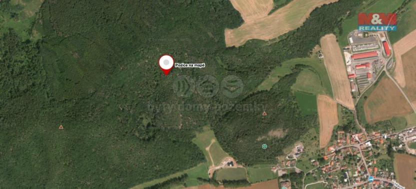 Prodej lesa, Trubín, 62499 m2