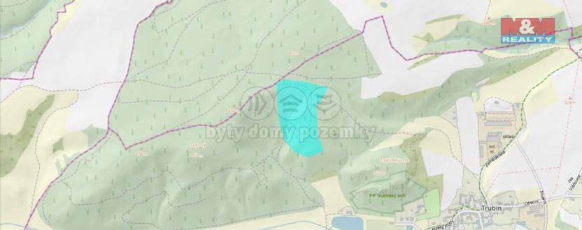 Prodej lesa, Trubín, 62499 m2