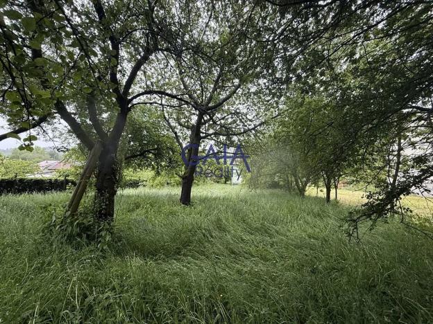 Prodej rodinného domu, Brumov-Bylnice, 190 m2