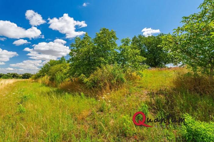 Prodej pozemku pro bydlení, Brandýsek, Pod lékárnou, 2715 m2