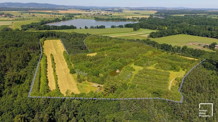 Prodej komerčního pozemku, Čejkovice, 121779 m2
