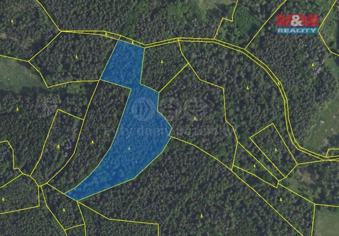 Prodej lesa, Petrovice - Mezihoří, 16220 m2