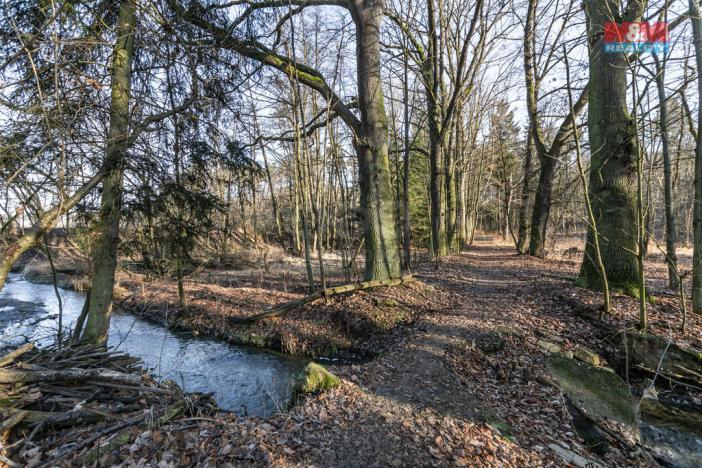 Prodej lesa, Horšovský Týn, 685 m2