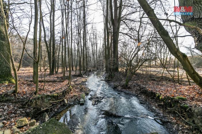 Prodej lesa, Horšovský Týn, 685 m2