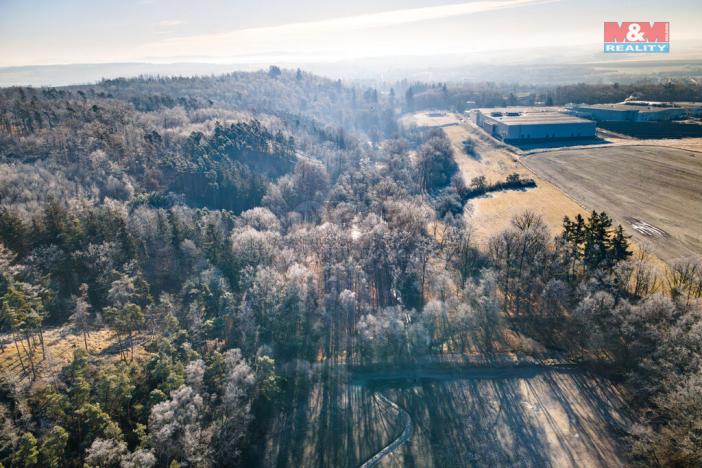 Prodej lesa, Horšovský Týn, 685 m2