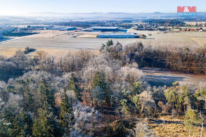 Prodej lesa, Horšovský Týn, 685 m2