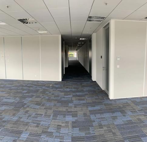 Pronájem kanceláře, Brno, Holandská, 1283 m2