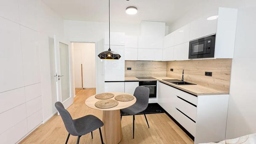 Pronájem bytu 1+kk, Praha - Holešovice, U průhonu, 51 m2