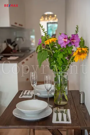 Prodej bytu 1+kk, Líšnice, Spálený Mlýn, 25 m2