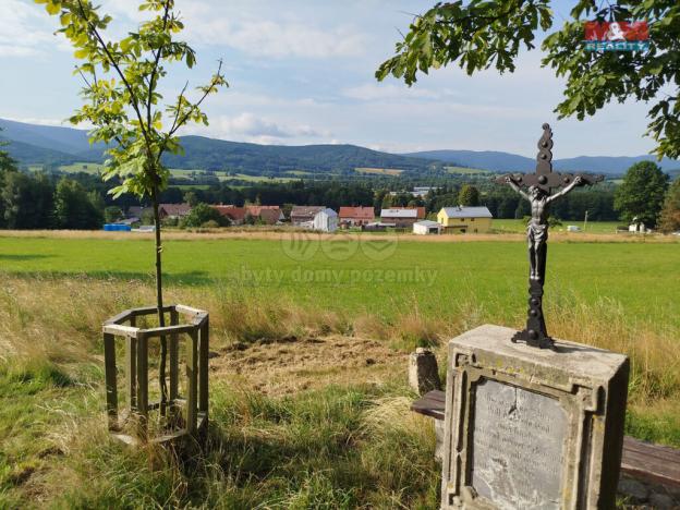 Prodej pozemku pro bydlení, Nové Město pod Smrkem - Hajniště, 1299 m2