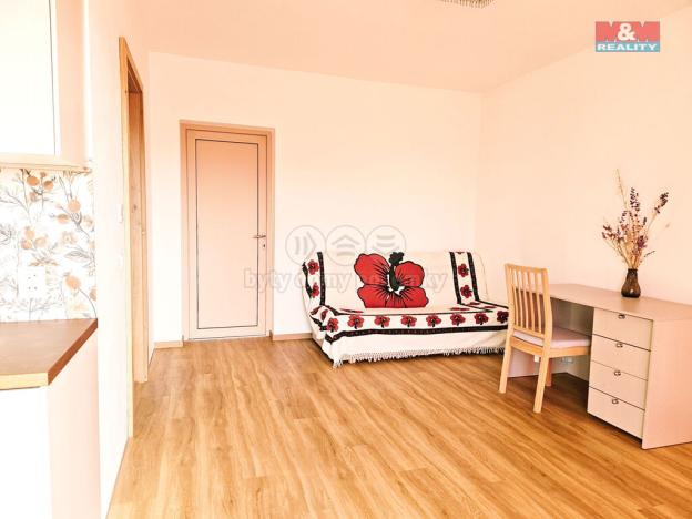 Pronájem bytu 1+kk, Bradlec, U Borku, 30 m2