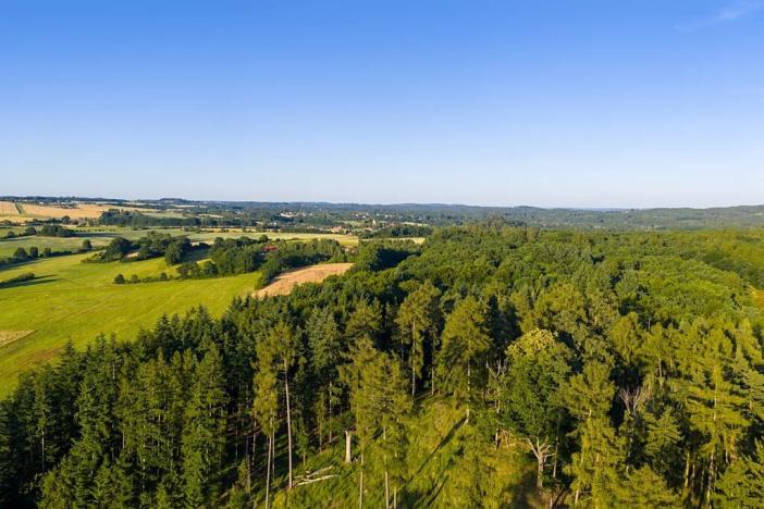 Prodej pozemku pro bydlení, Sulice, 1514 m2