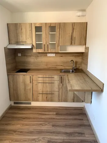 Pronájem bytu 1+1, Frýdek-Místek, Hutní, 34 m2