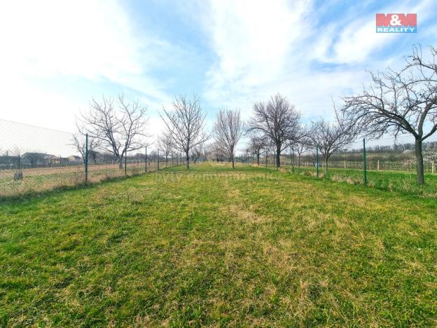 Prodej pole, Starý Poddvorov, 4096 m2