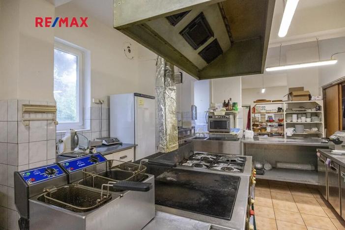 Prodej obchodního prostoru, Čelákovice, Rumunská, 794 m2