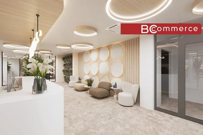 Pronájem kanceláře, Brno, Masarykova, 505 m2