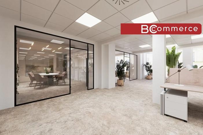 Pronájem kanceláře, Brno, Masarykova, 505 m2