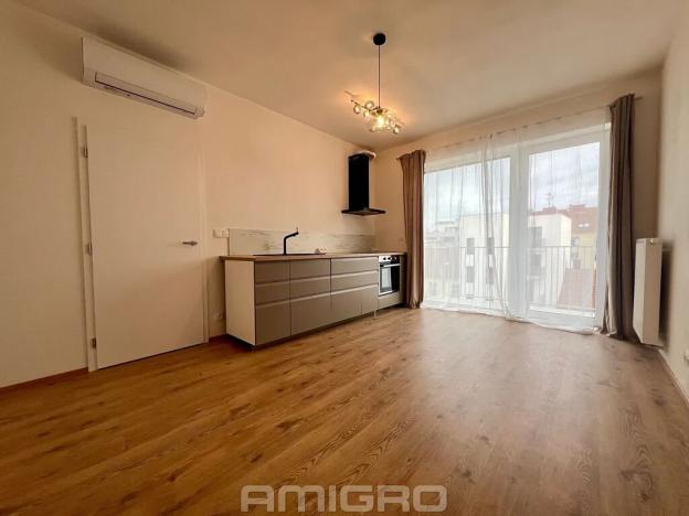Pronájem bytu 1+kk, Brno, Křenová, 27 m2