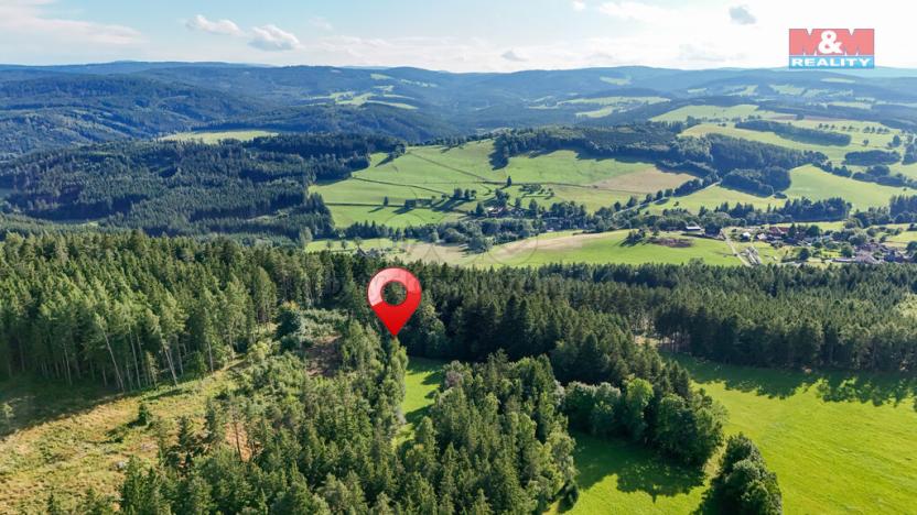 Prodej lesa, Petrovice u Sušice - Maršovice, 15707 m2