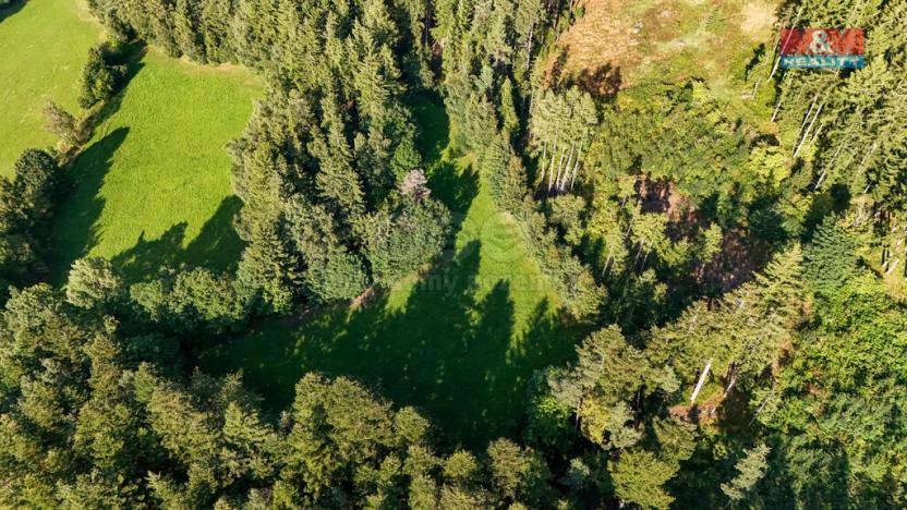 Prodej lesa, Petrovice u Sušice - Maršovice, 15707 m2