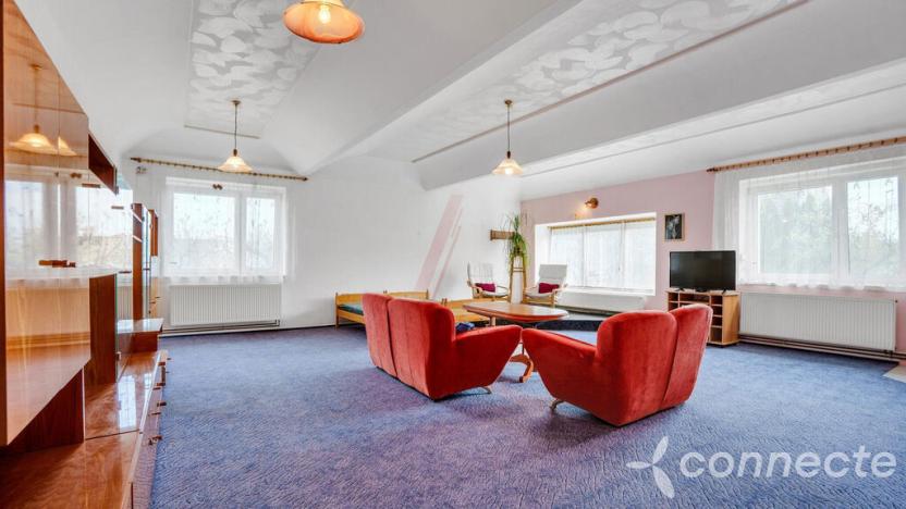 Prodej komerční, Hřibiny-Ledská - Hřibiny, 196 m2