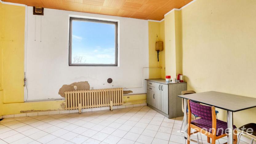 Prodej komerční, Hřibiny-Ledská - Hřibiny, 196 m2