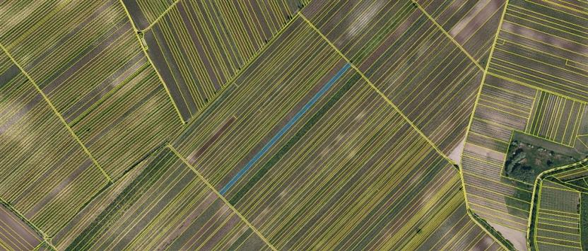 Prodej pole, Velké Bílovice, 3706 m2