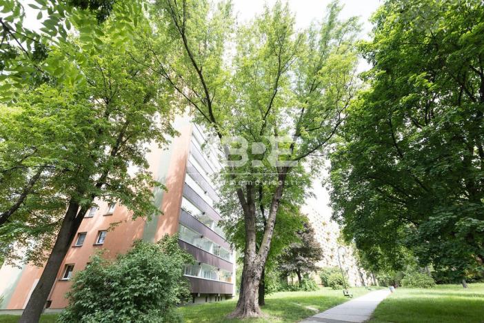 Pronájem bytu 3+1, Orlová - Lutyně, Masarykova třída, 71 m2