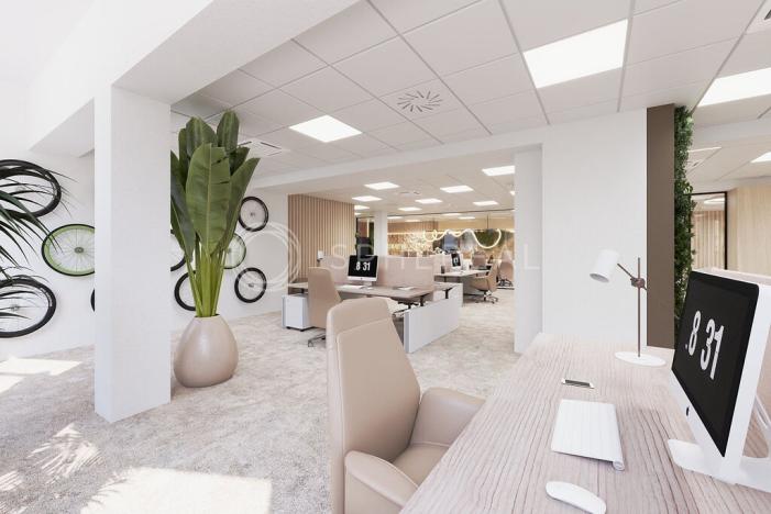 Pronájem kanceláře, Brno - Brno-město, Masarykova, 505 m2