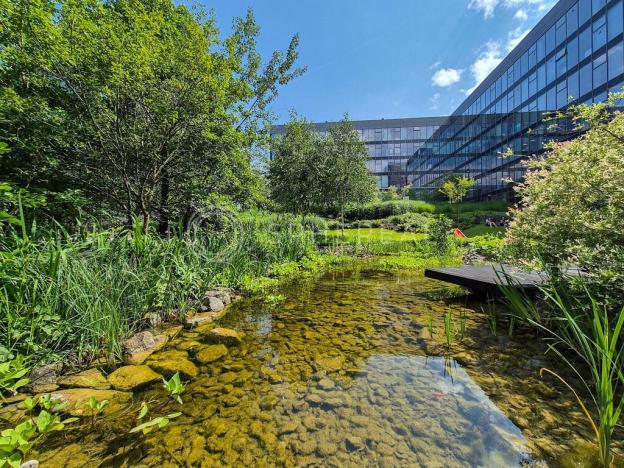 Pronájem kanceláře, Brno - Starý Lískovec, Palachovo náměstí, 1300 m2