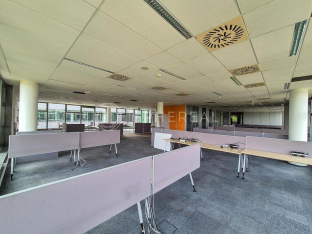 Pronájem kanceláře, Brno - Královo Pole, Technická, 2000 m2