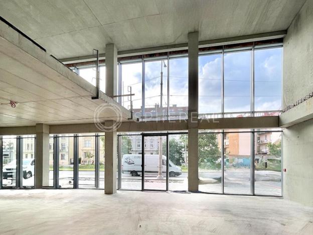 Pronájem obchodního prostoru, Brno - Staré Brno, Nové sady, 310 m2