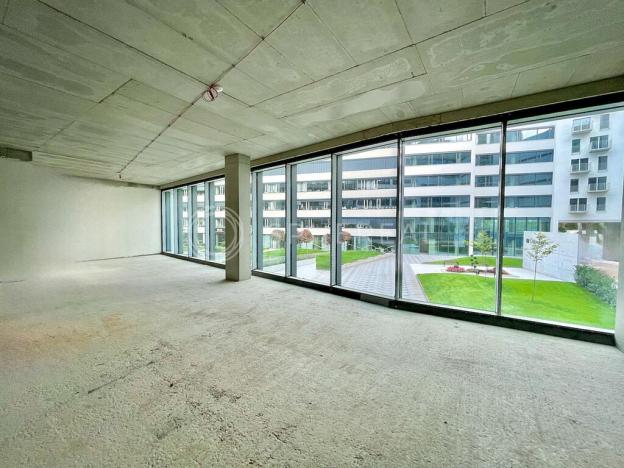 Pronájem obchodního prostoru, Brno - Staré Brno, Nové sady, 310 m2